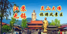 黑鬼大鸡巴肏屄视频江苏无锡灵山大佛旅游风景区
